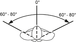 Abb 3